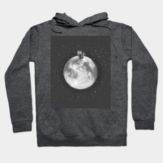 Lost in a Space / Moonelsh Hoodie by roublerust